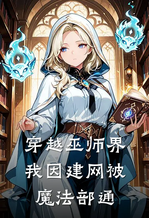 穿越巫师界：我因建网被魔法部通
