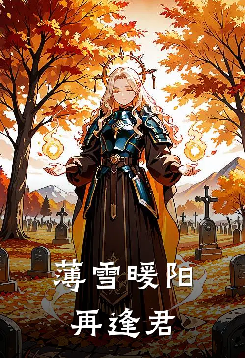 薄雪暖阳再逢君